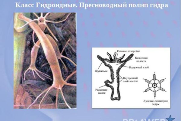 Кракен маркетплейс телеграм