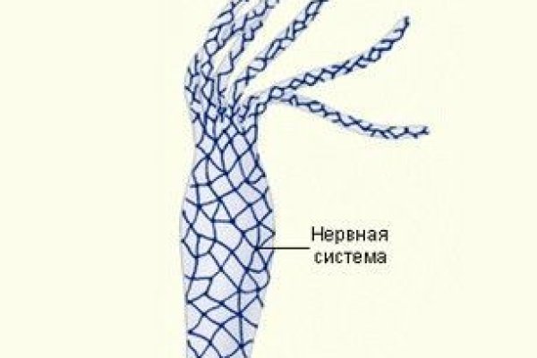 Кракен маркетплейс kr2connect co