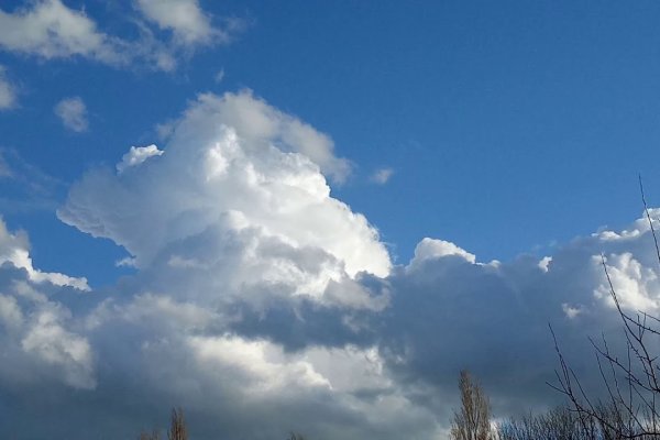 Купон кракен даркнет