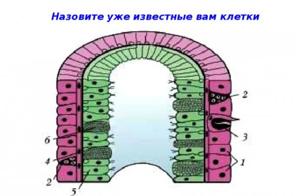 Kraken смылка