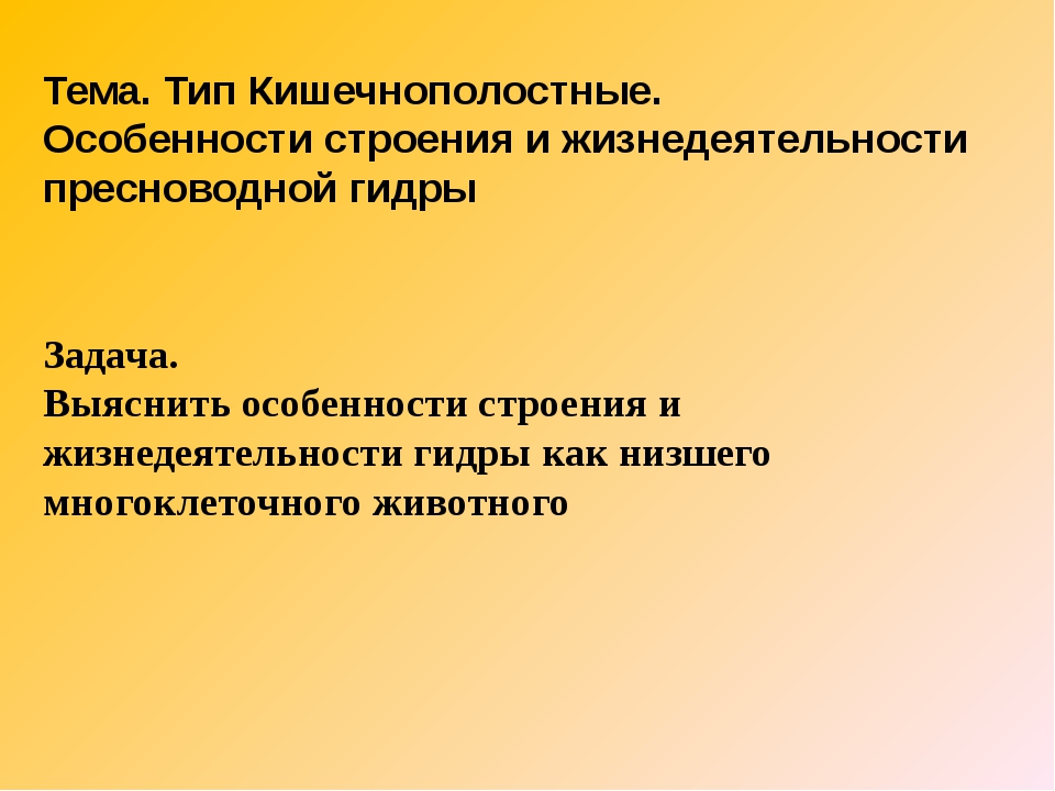 Кракен ссылка gigageek ru