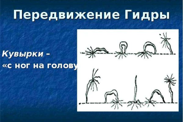 Кракен даркнет поддержка