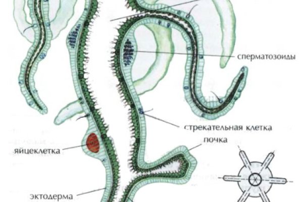 Kraken наркотики сайт