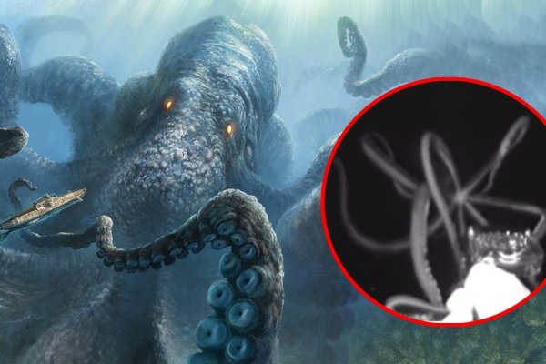 Kraken tor onion зеркало
