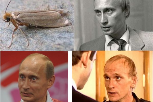 Действующие ссылки на кракен