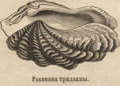Кракен зеркало прокатис
